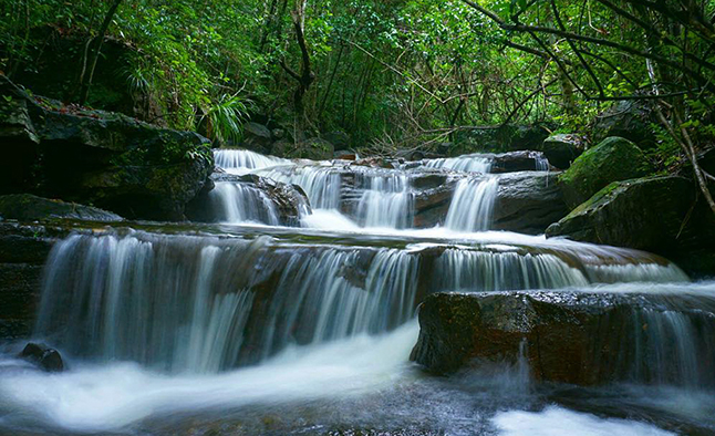 Suối Đá Bàn Phú Quốc